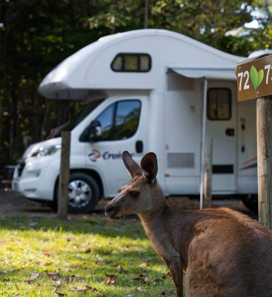 Van-Gallery_0012_Camping-Car-10