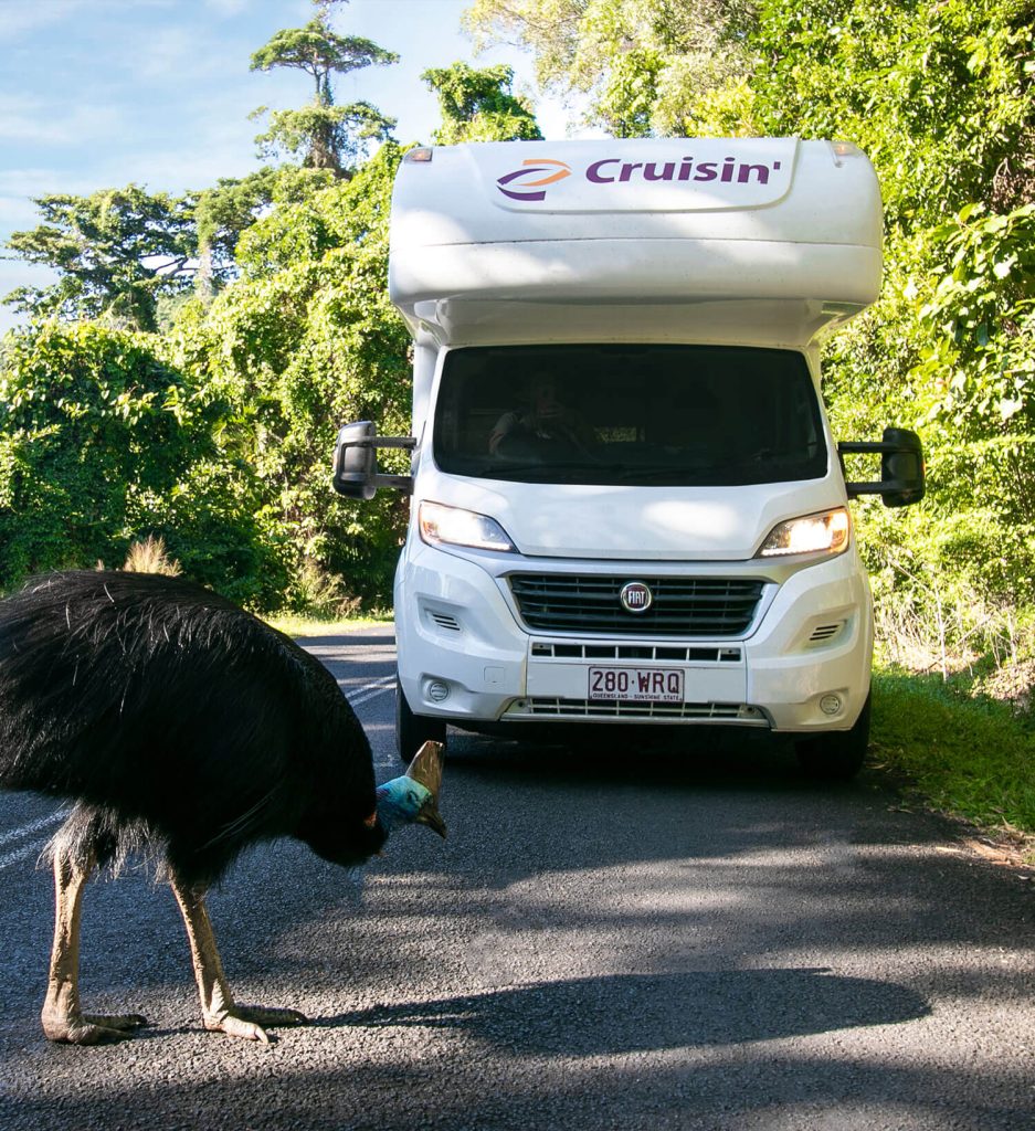 Van-Gallery_0012_Camping-Car-8