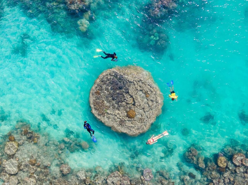 1 day-tour-whitsunday-reef-snorkel-whitehaven-beach
