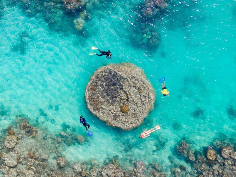 1 day-tour-whitsunday-reef-snorkel-whitehaven-beach.