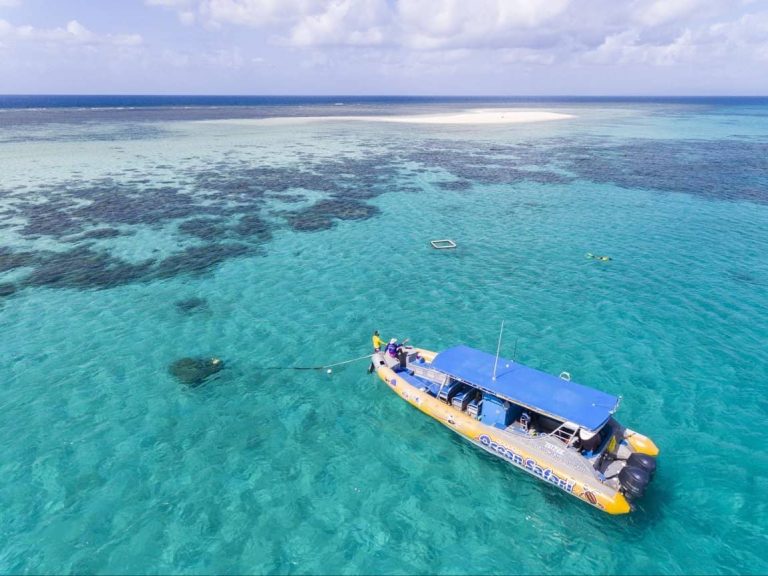 grand-barier- écif- plus rapide-tour-demi-journée-cape-tribulation