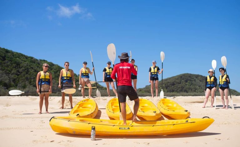 kayaks-dolphins-noosa-first-time-turtles-national-park