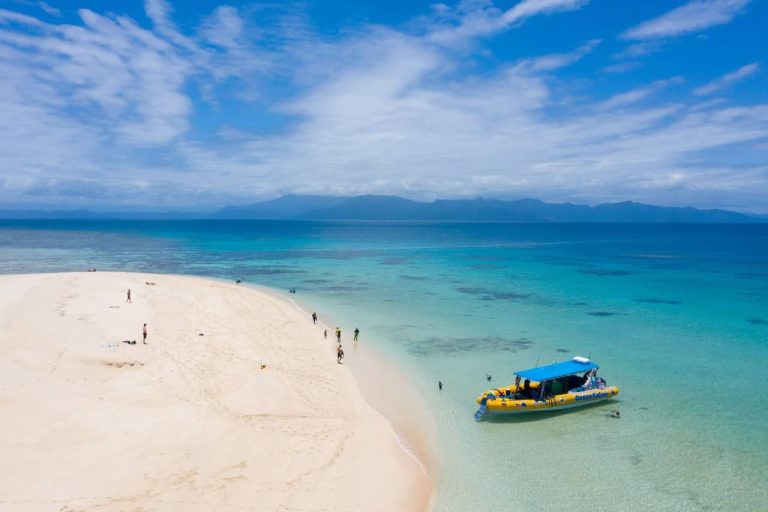 ocean-safari-tour-half-day-no-experience-cape-tribulation