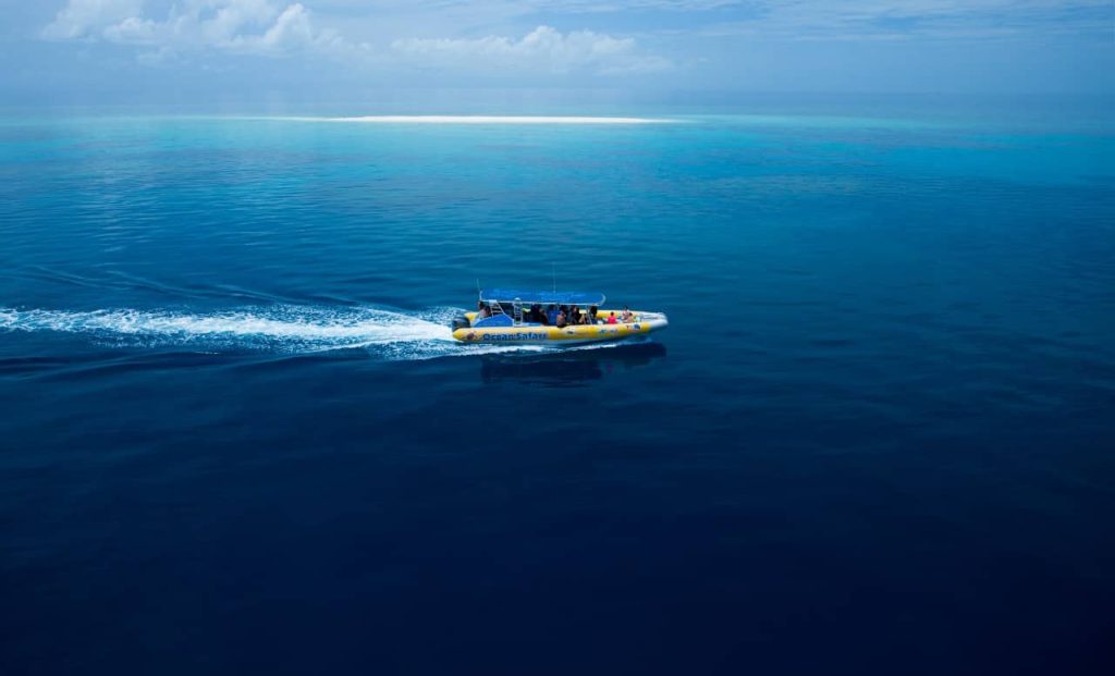 the-best-snorkel-tour-great-barrier-reef-australia