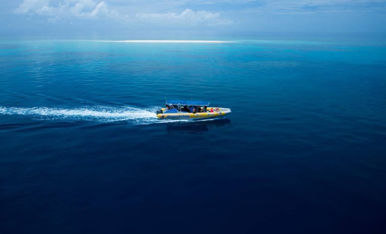 la-meilleure-excursion- de- plongée-avec-tuba- dans-la- grande- barrière- de- corail-australie