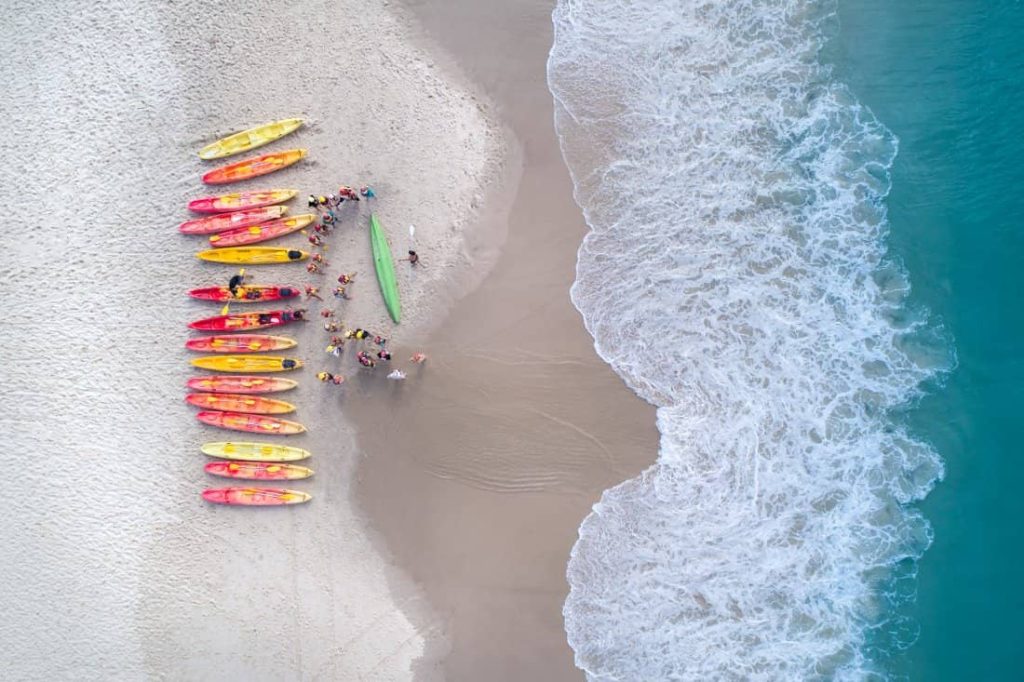 whales-byron-bay-tour-kayak