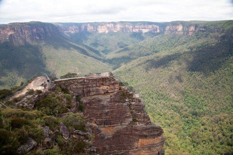 the-best-1-day-tour-blue-mountains-bushwalks