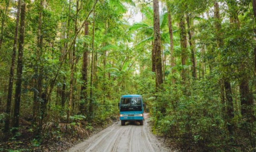 k-gari-fraser-island-1-day-tour-bus-hervey-bay