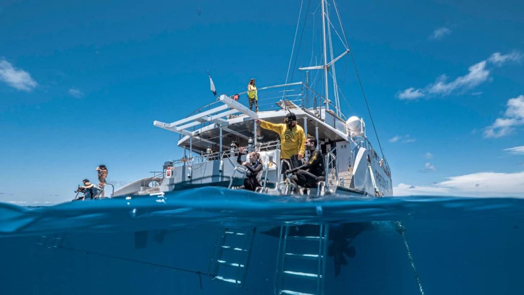 snorkelling-outer-reef-tour-cairns-australia