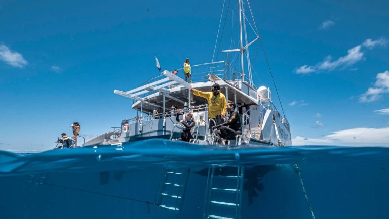 snorkelling-outer-reef-tour-cairns-australia