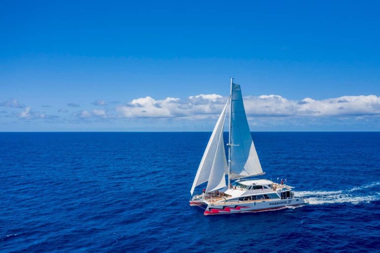 whcih-boat-tour-price-weather-cairns-gbr-great-barrier-reef