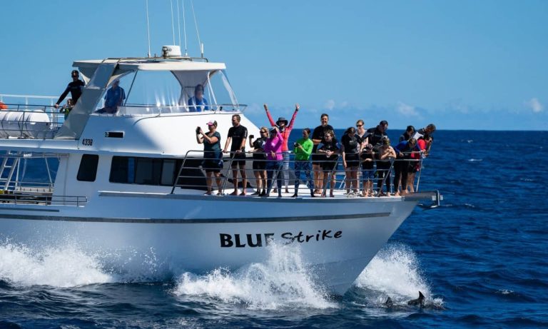 boat-snorkells-travellers-backpacers-exmouth-departure-tour-ningaloo-reef-snorkeling