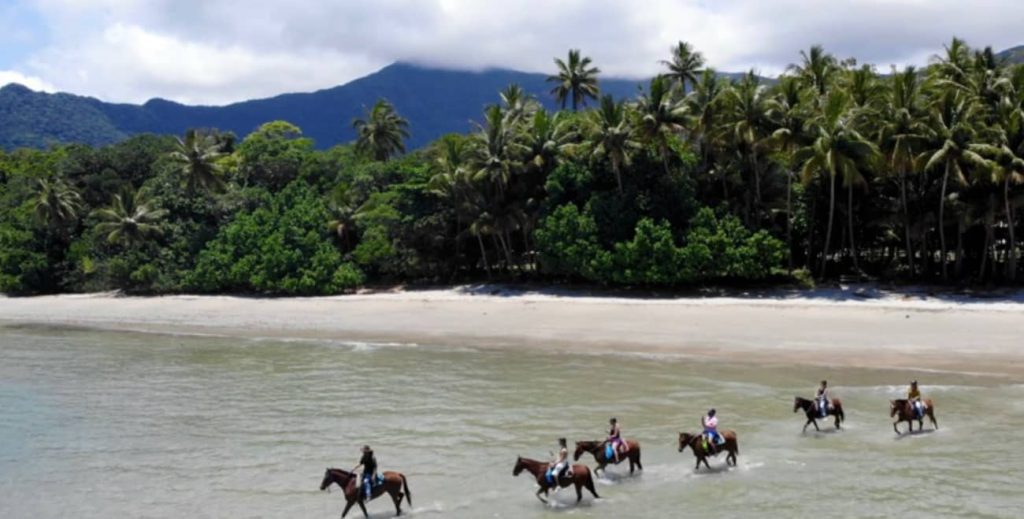 cape-tribulation-cairns-acitivity-horse-ride-daintree-rainforest-coral-sea