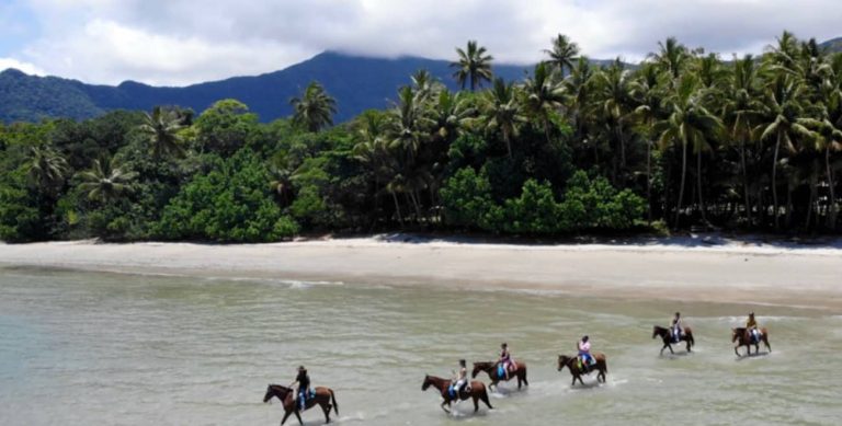 tour-horse-ride-cape-tribulation-australia