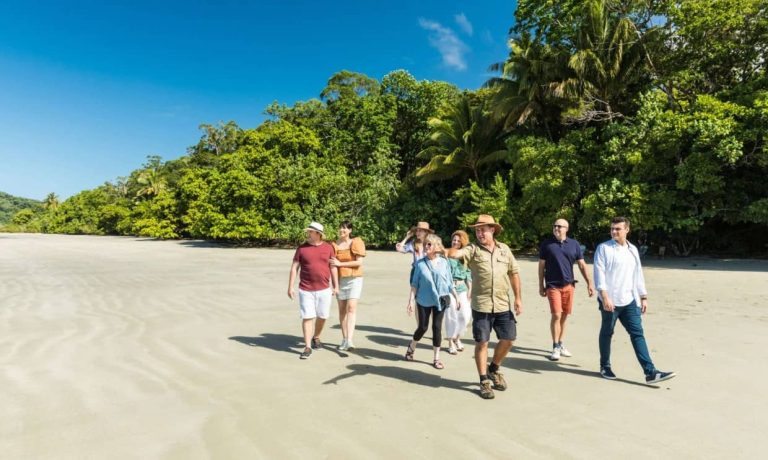 cape-tribulation-walk-beach-day-tour-from-cairns-port-douglas
