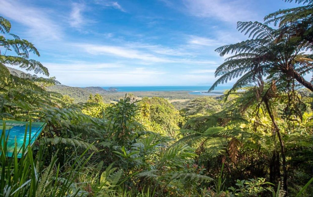 daintree-forest-cape-tribulation-lookout-what-to-do-family-trip-australia