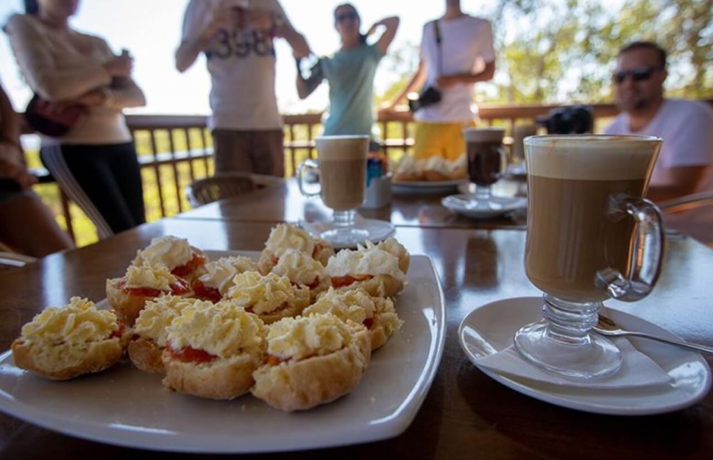 day-tour-from-cairns-chillaloge-outback-trip