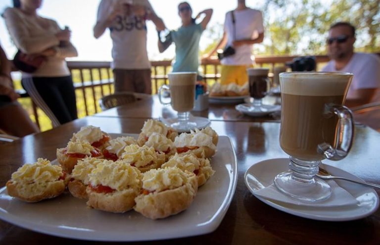 australian-scone-coffee-food-tour-from-cairns
