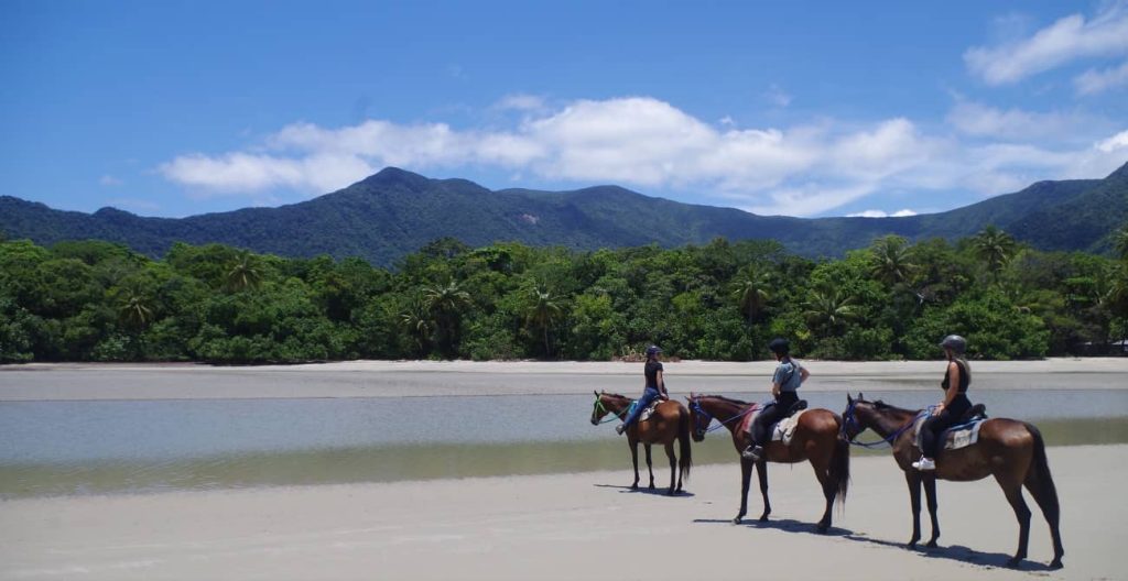 horse-ride-ridising-cape-tribulation-cairns
