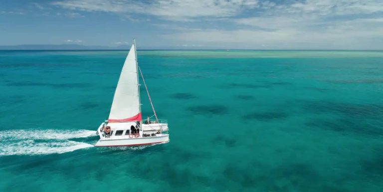 outer-reef-cairns-cairns-tour-1-day-trip-family-couple-single
