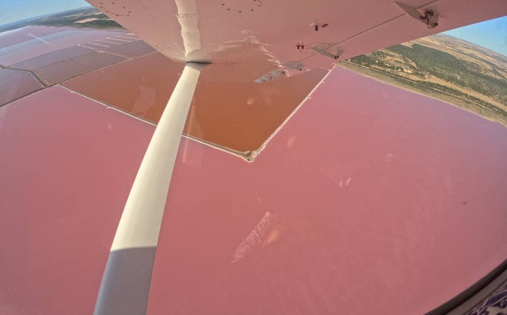 pink-lake-hutt-lagoon-western-australia-scenic-flight-attraction-