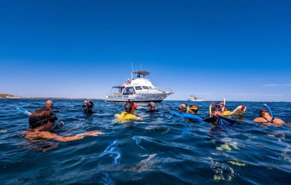 snorkeling-coral-bay-trip-price-ningaloo-reef-when