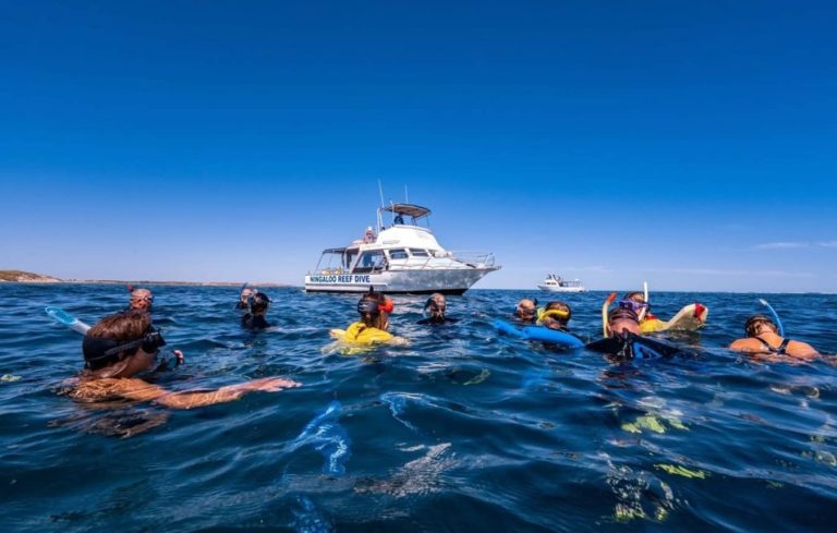 group-snorkeling-diving-coral-bay-reef-western-australia