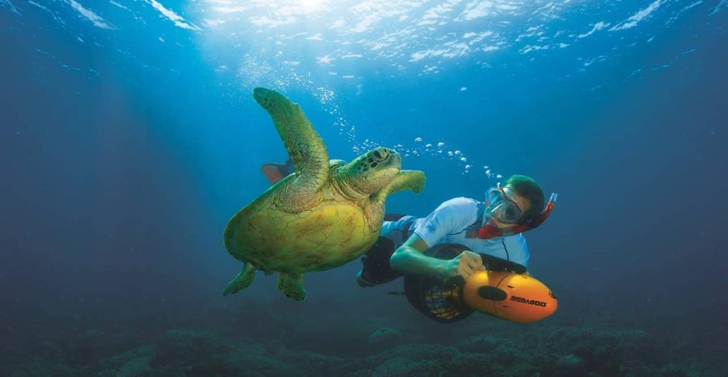 snorkeling-turtle-kayking-moreton-island-shipwresk-day-pass