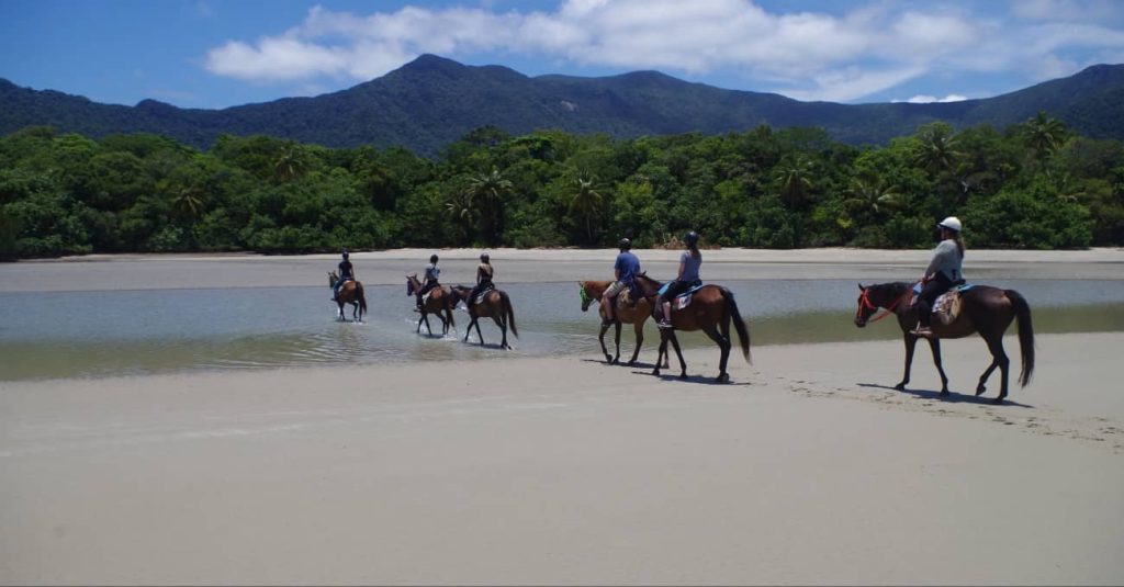 what-to-do-in-cape-tribulation-day-tour