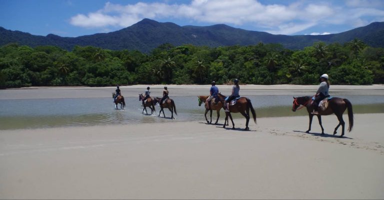 horse-riding-daintree-rainforest-