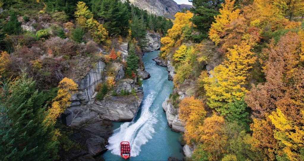 must-do-tour-activity-south-island-acitivity-tour-canyon-autumn-yellow-trees