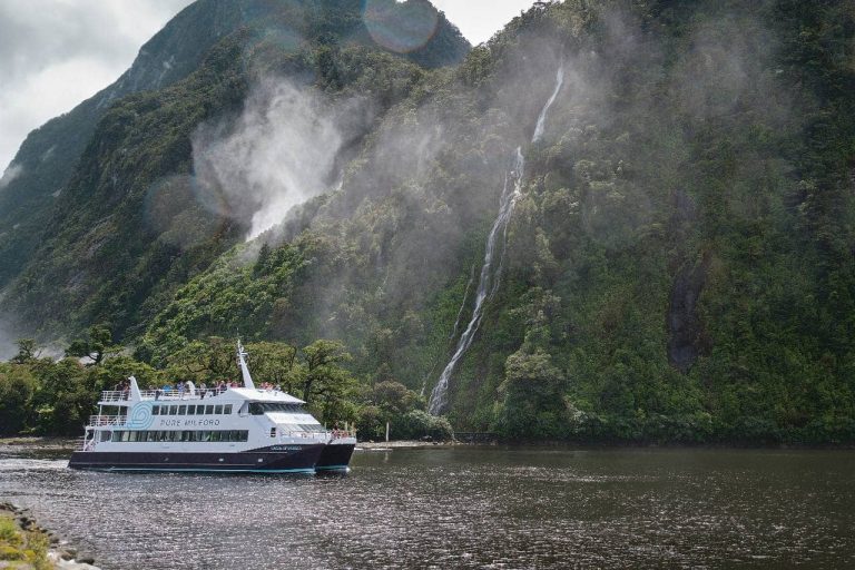 the-best-milford-sound-cruise-self-drive-deal-south-island-new-zealad