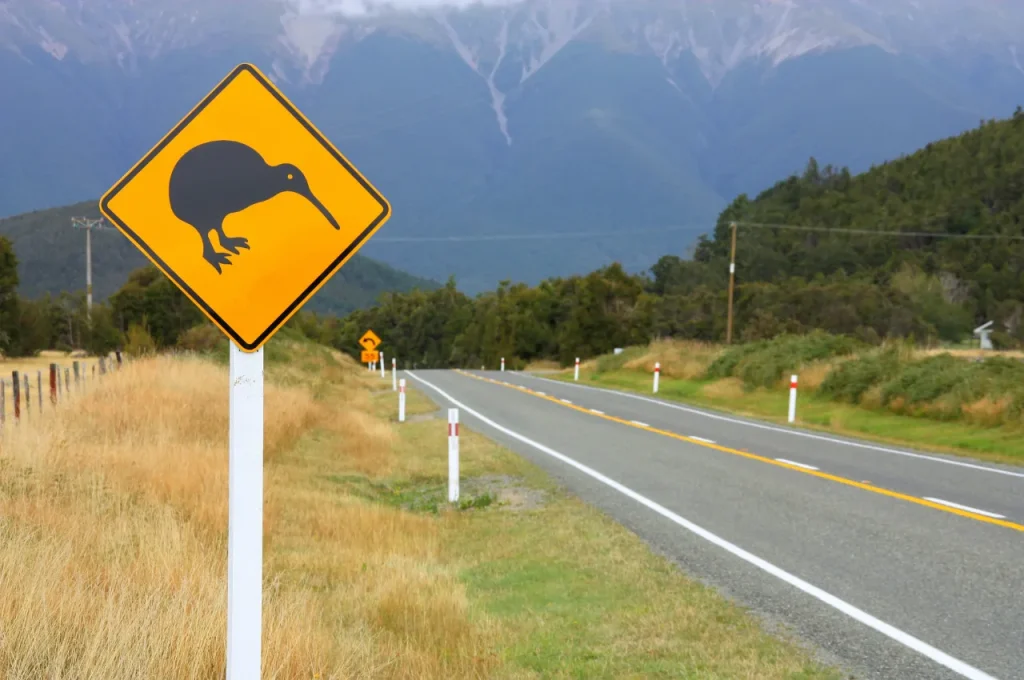 animaux nouvelle zélande