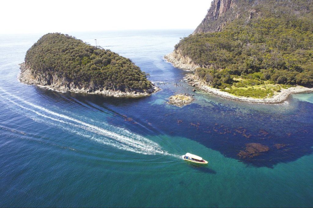 cruise-bruny-island-3-hours-cliff-tasman-sea