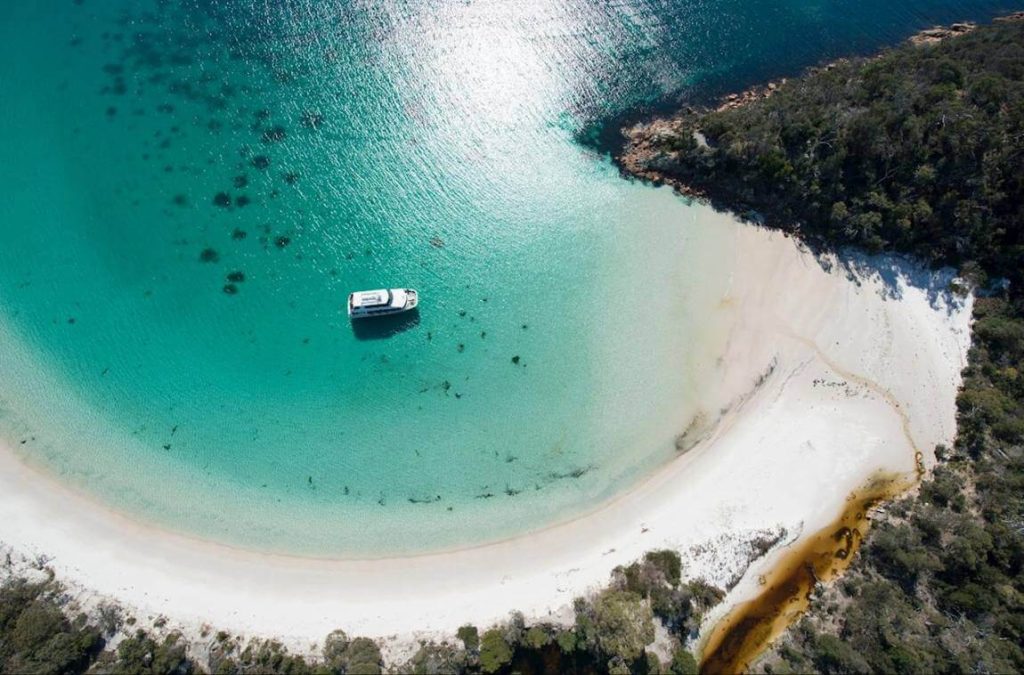 boat-cruise-wineglass-bay-what-to-do-activity-price