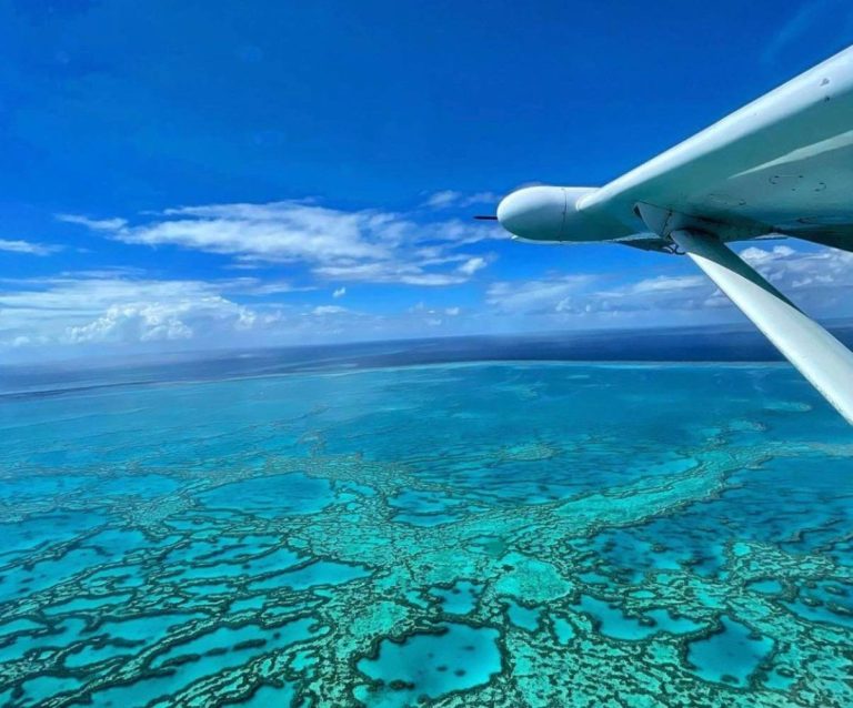 cairns-fligt-above-great-barrier-reef-window-seat-from-where-cairns-small-plane-price