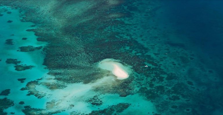 cairns-scenic-flight-airport-reef-40minutes-60minutes-over-reef-deal-backpackers-