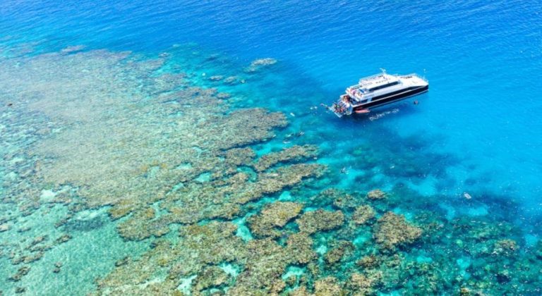 cruise-weather-port-douglas-diving-family-snorkel