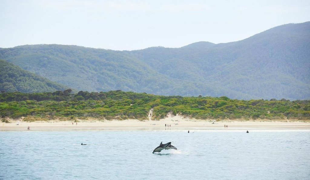 cruise-wilsons-promontory-surroundins-melbourne