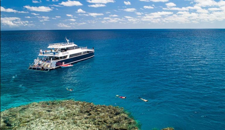 port-douglas-great-barrier-reef-cruise-the-best-one