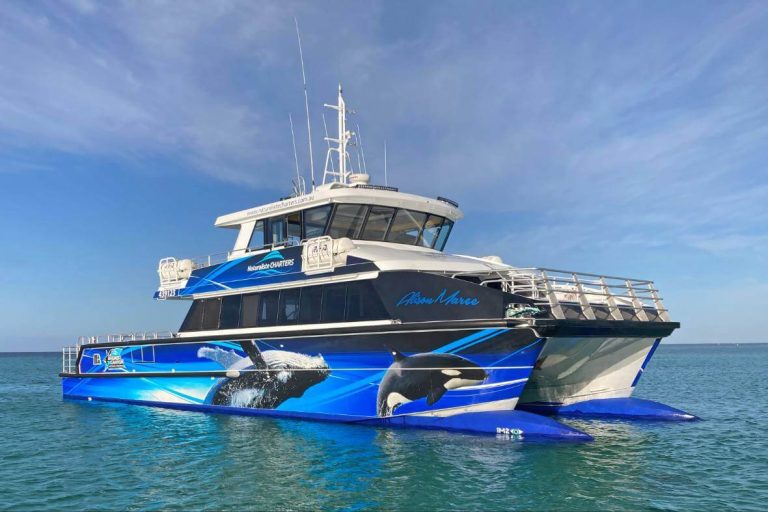 boat-bremer-bay-esperance-activity-to-do-killer-orcas