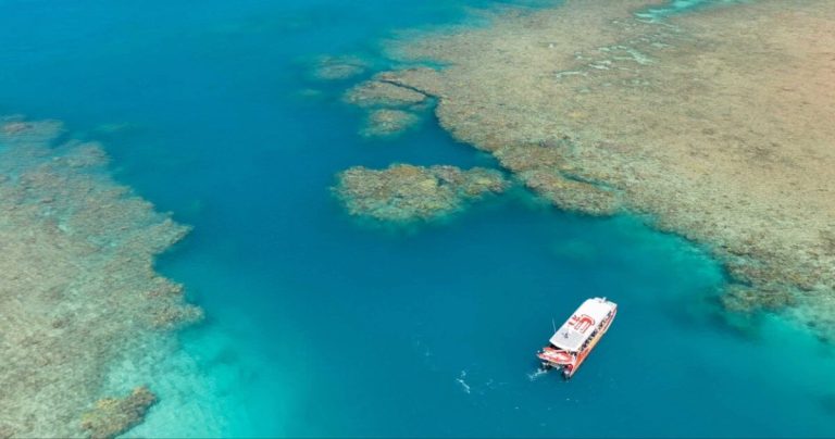 reef-from-airlie-beach-cruise-boat-all-day-tour-whitehave-beach