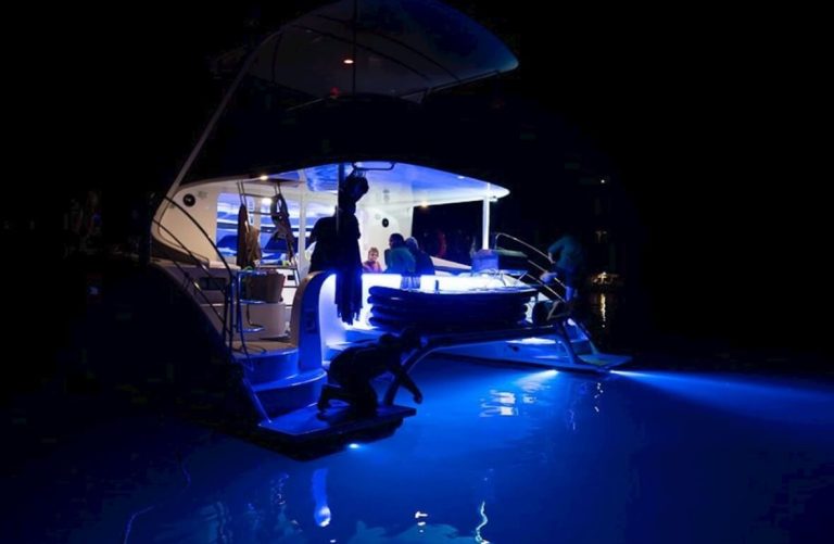 whitsundays-croisiere-nuit-lumieres-bleues-road-trip-sydney-cairns-australie