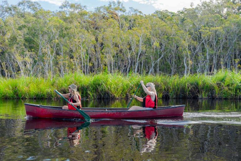 noosa-everglades-canoe-tour-australia-unesco-listed-national-park