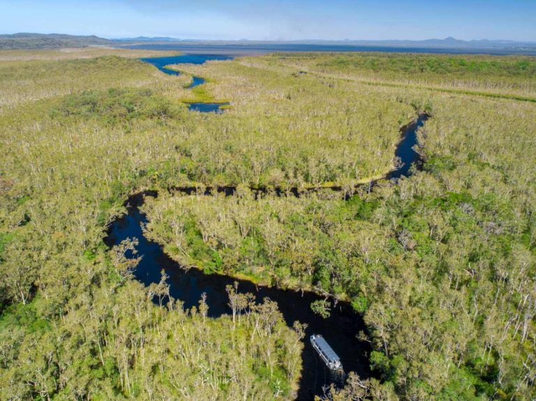 noosa-everglades-boat-day-tour-queensland-nature-cruise