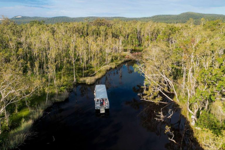 rare-ecosystem-noosa-everglades-australia-crocodiles-birdwatching-habitat