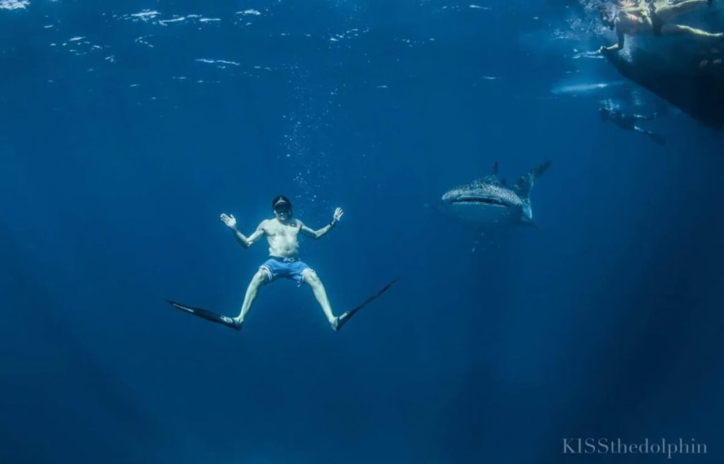itinerary-darwin-perth-whale-shark-march-august-price-the-best-cruise