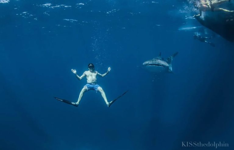itineraire-darwin-perth-requin-baleine-mars-aout-prix-meilleure-croisiere