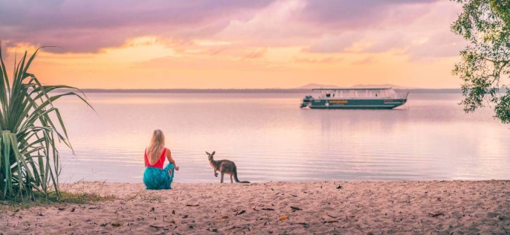 noosa-everglades-boat-tour-kangaroo-wildlife-experience