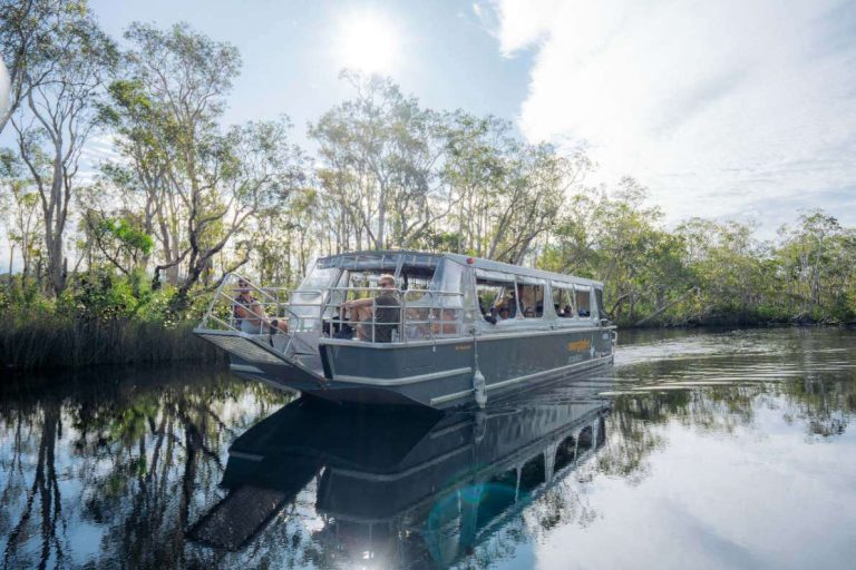 family-cruise-noosa-everglades-sunshine-coast-what-to-do-price